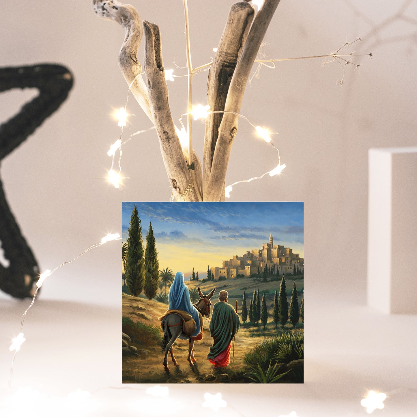 Compassion Christmas Card: Journey to Bethlehem (pack of 10)