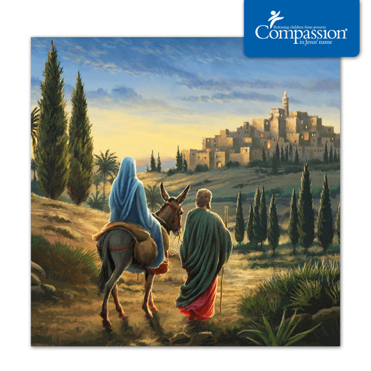 Compassion Christmas Card: Journey to Bethlehem (pack of 10)
