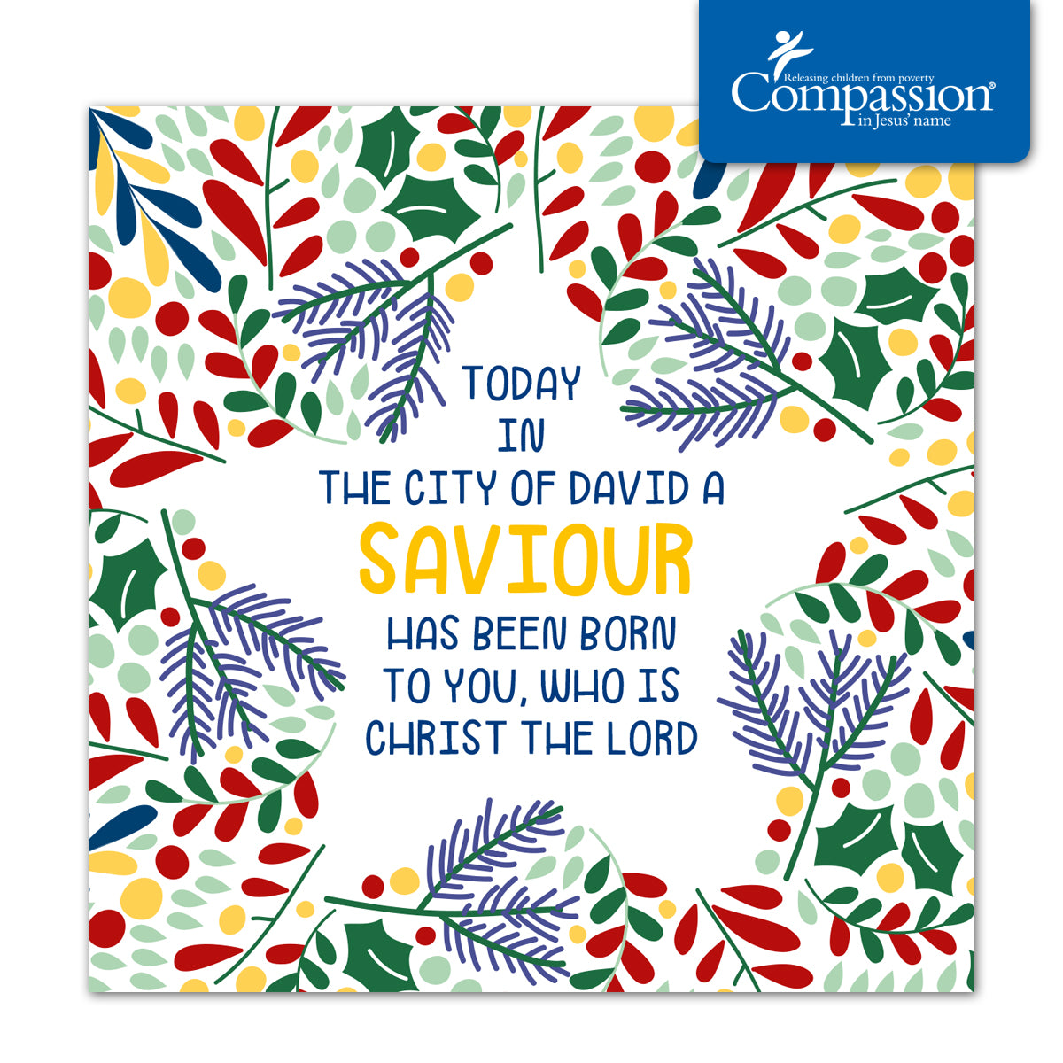 Compassion Christmas Card: Saviour/Star (pack of 10) - The Christian Gift Company