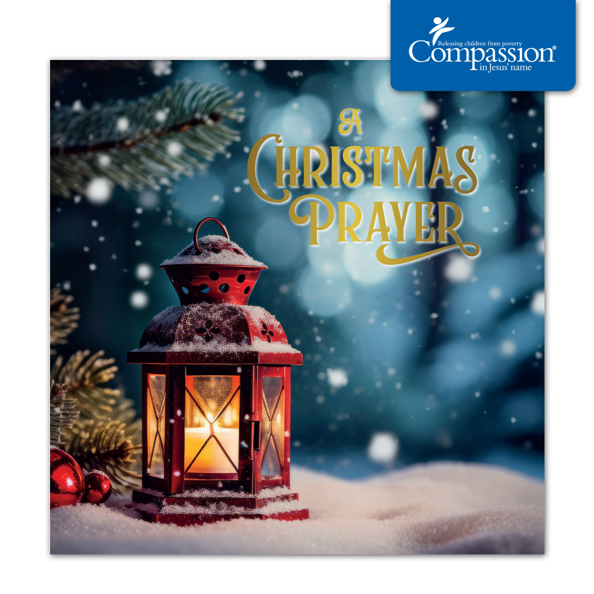 Compassion Christmas Mini Card: Prayer Lantern (pack of 10)
