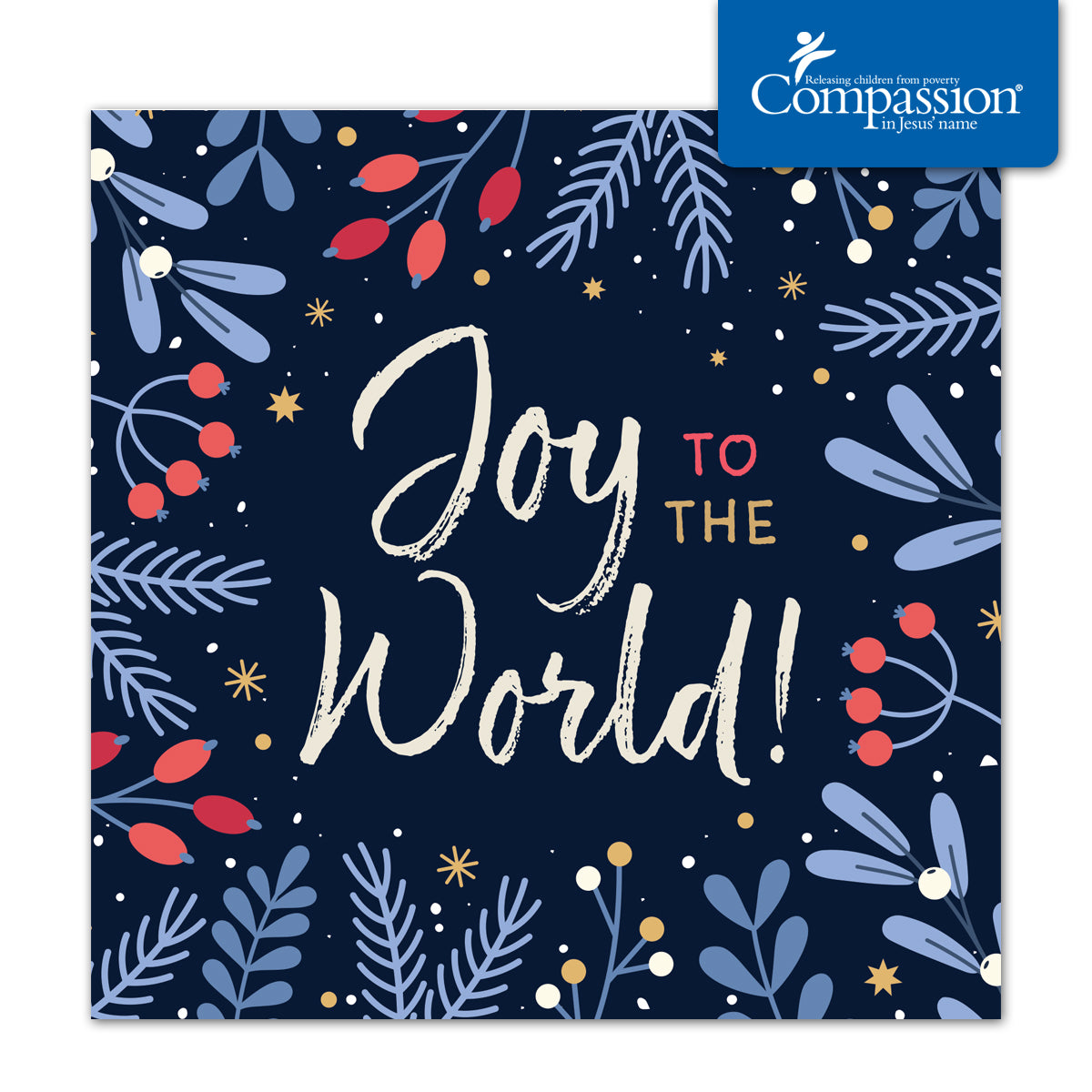 Compassion Christmas Mini Card: Joy/Foliage (pack of 10)