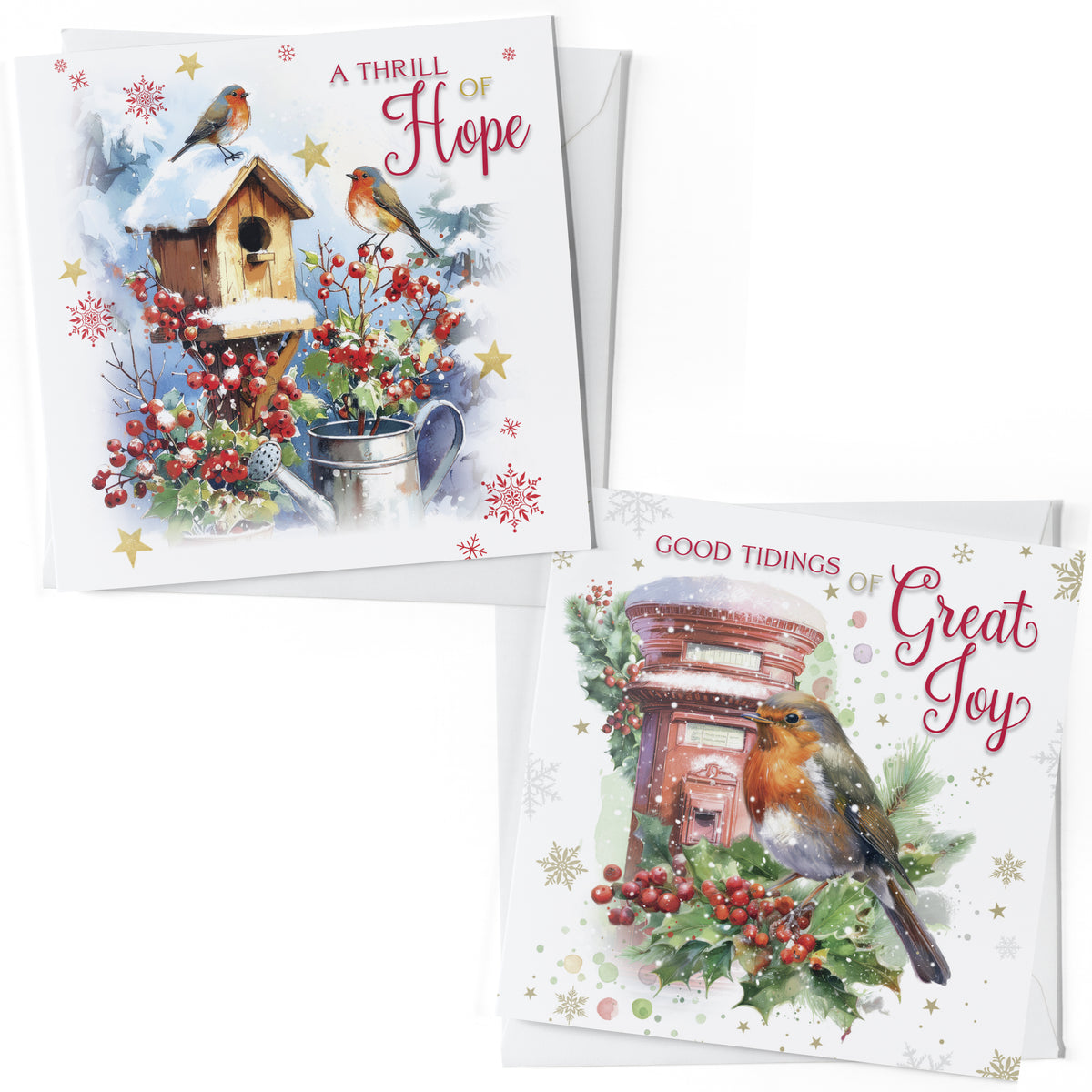 Christmas Card Box - Garden Robins (16 cards)