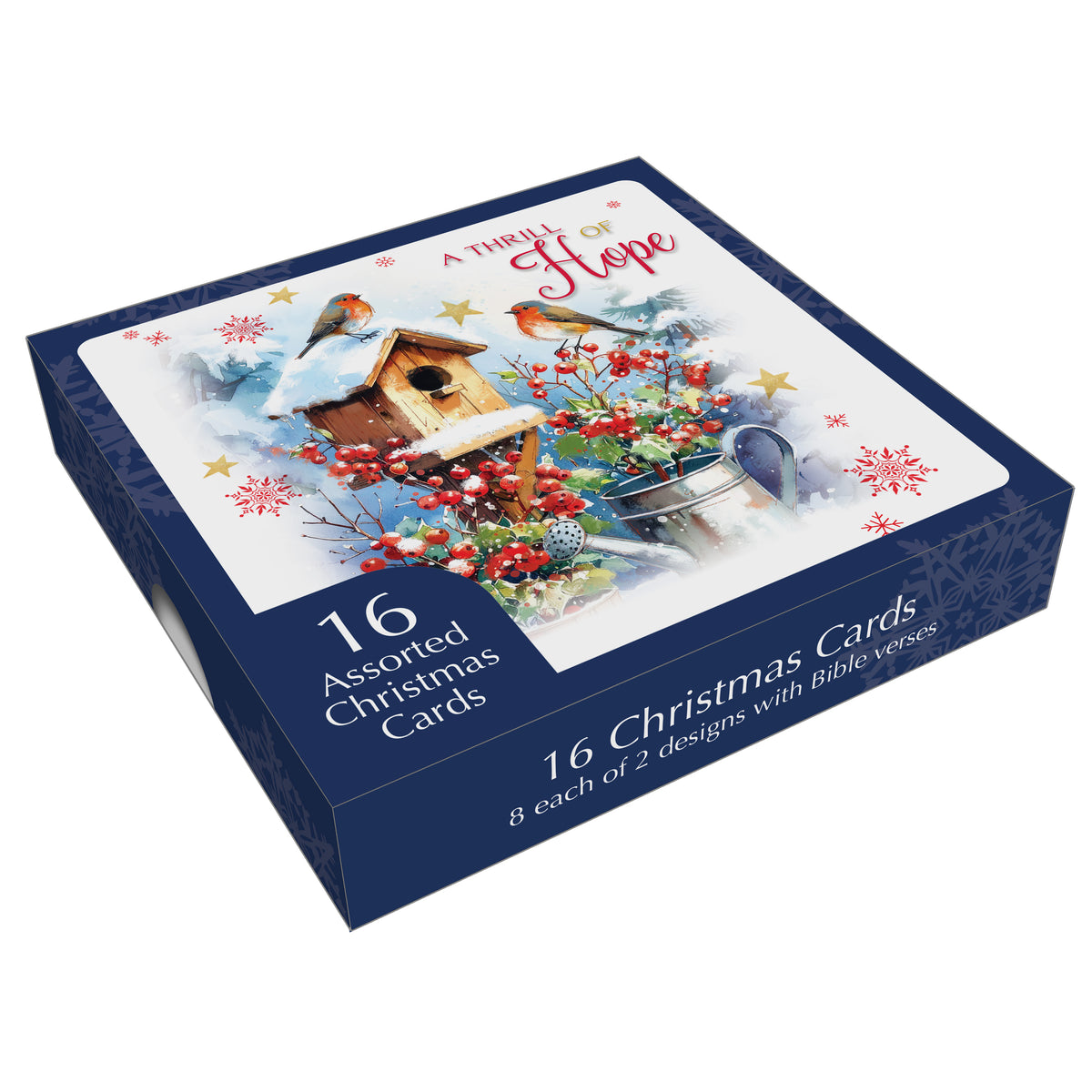 Christmas Card Box - Garden Robins (16 cards)