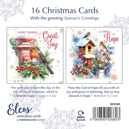 Christmas Card Box - Garden Robins (16 cards)