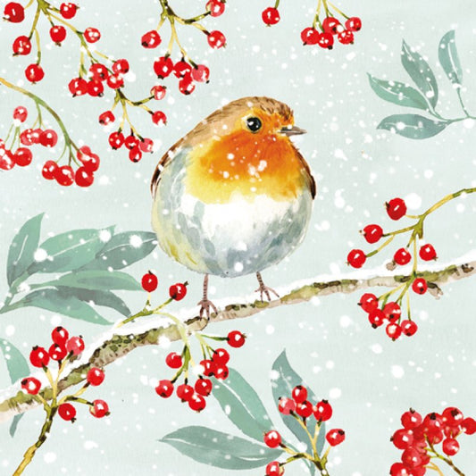 Marie Curie/BHF Christmas Card: Robin & Berries (pack of 4) - The Christian Gift Company