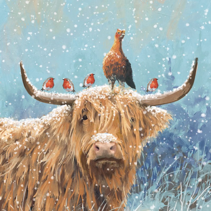 Marie Curie/BHF Christmas Card: Highland Bull & Robins (pack of 4) - The Christian Gift Company