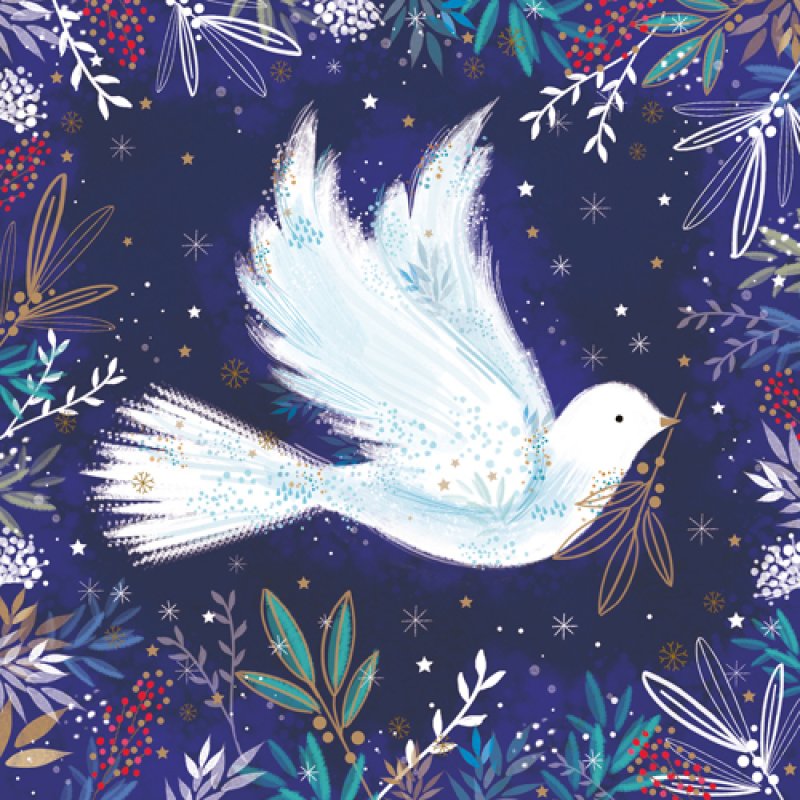 Marie Curie/BHF Christmas Card: Peace Dove (pack of 4) | The Christian ...