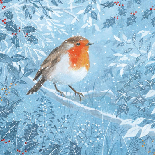 Charity Christmas Card: Winter Robin (pack of 4)