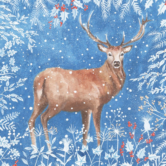 Charity Christmas Card: Winter Stag (pack of 4)