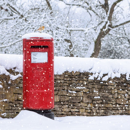 Charity Christmas Card: Red Postbox in Snow (pack of 4)