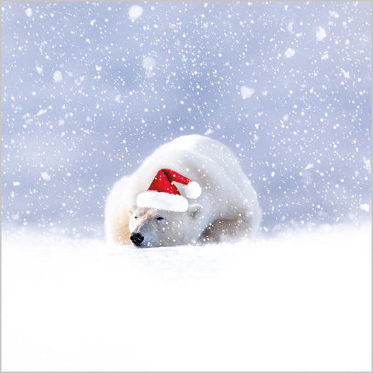 Charity Christmas Card: Festive Polar Bear (pack of 4)