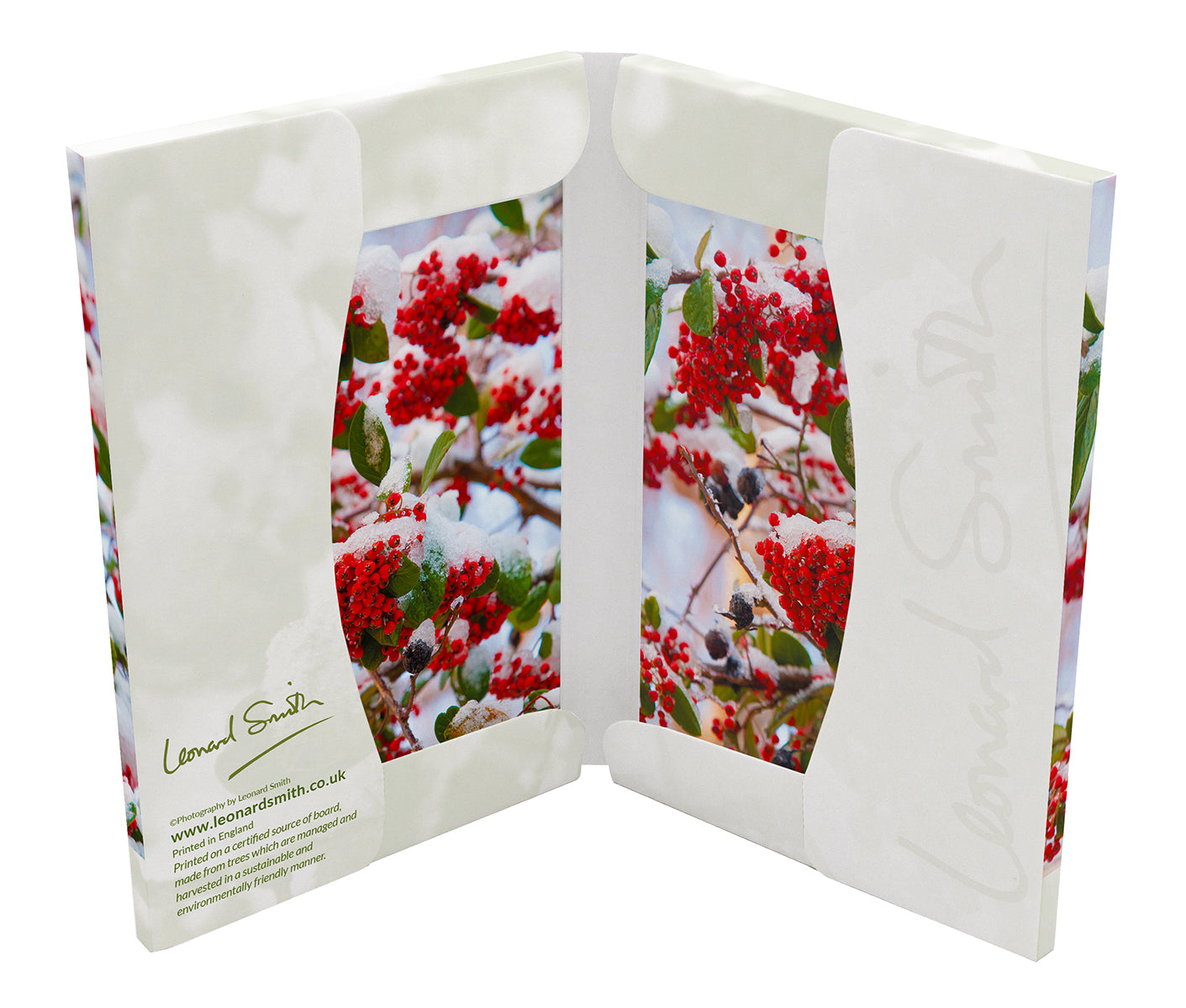 Christmas Card Wallet - Berries (8 cards) - The Christian Gift Company