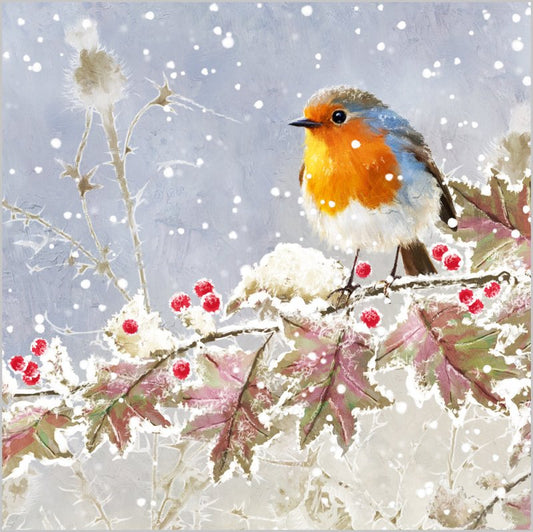Charity Christmas Card: Robin (pack of 4) - The Christian Gift Company