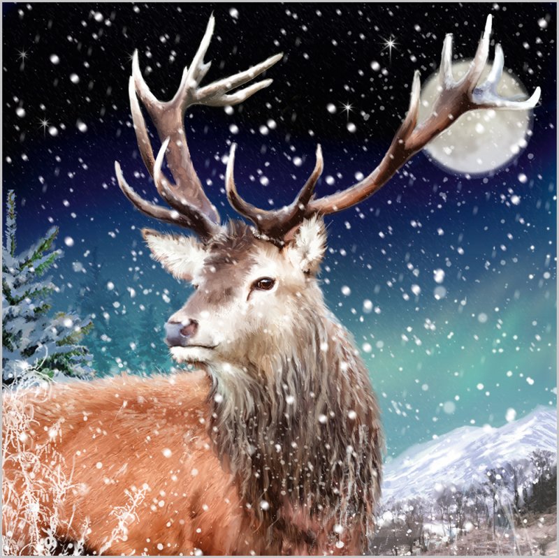 Charity Christmas Card: Stag in Snow (pack of 4) - The Christian Gift Company