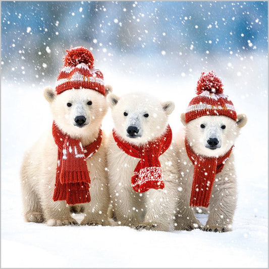Charity Christmas Card: Polar Bears In Hat & Scarf (pack of 4) - The Christian Gift Company