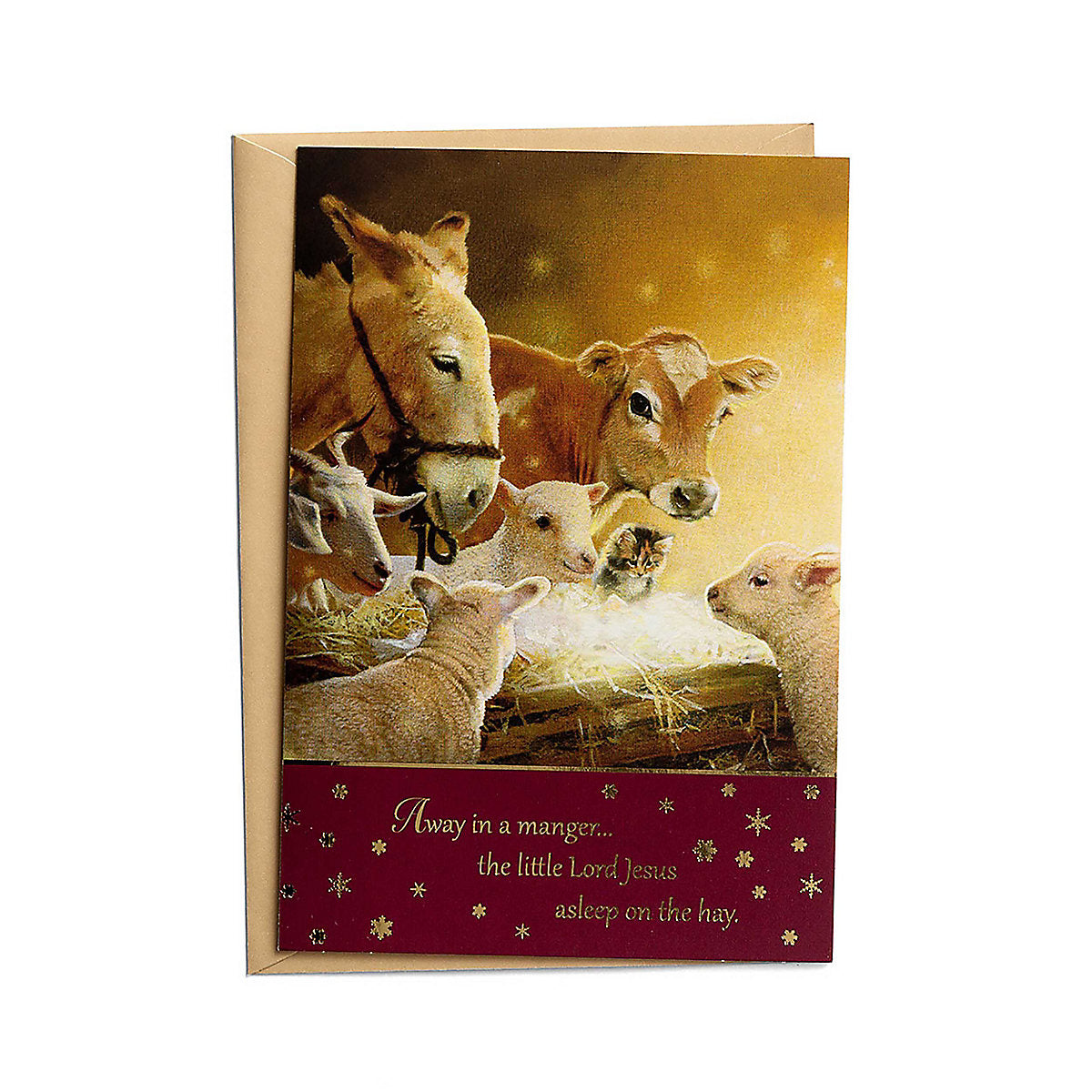 Select Christmas Cards - Away In A Manger (18 cards) - The Christian Gift Company