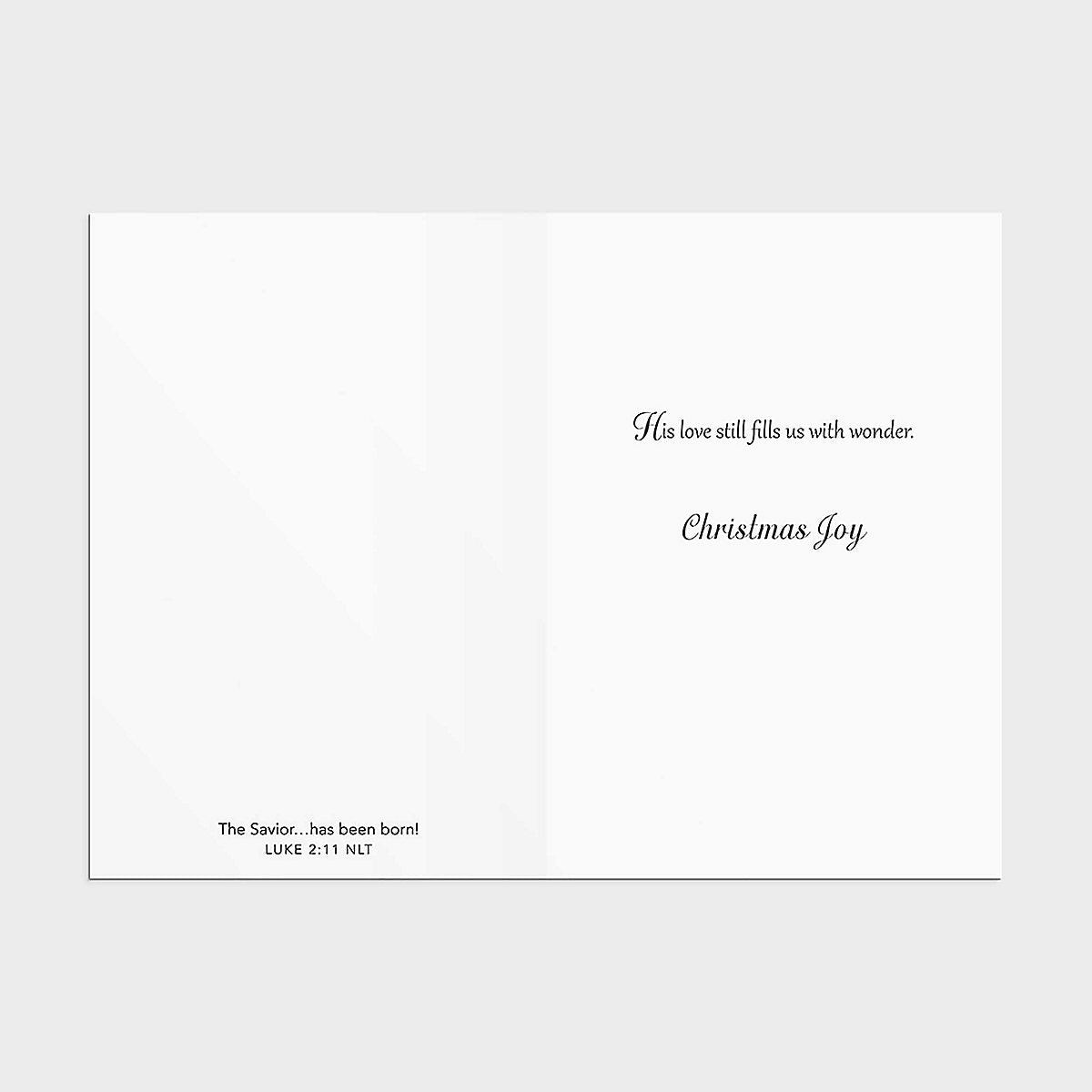 Select Christmas Cards - Away In A Manger (18 cards) - The Christian Gift Company