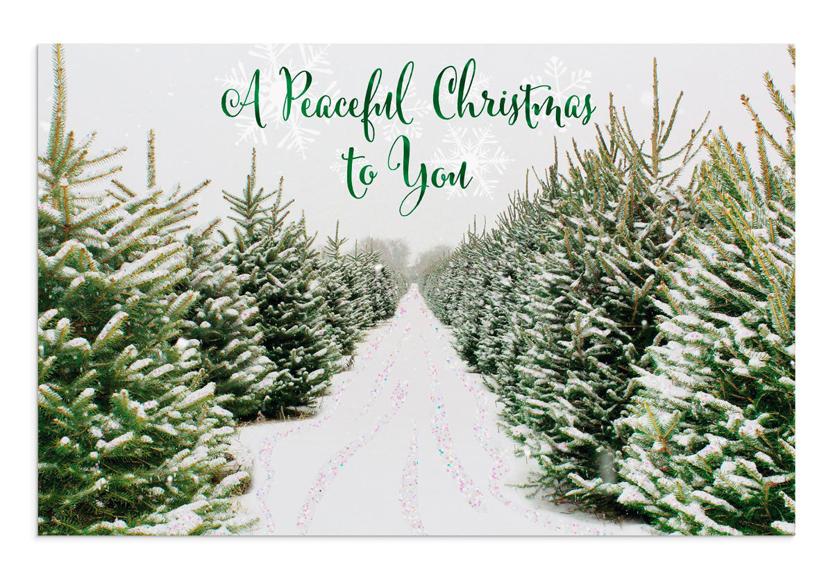 Premium Christmas Card Box - A Peaceful Christmas (18 cards) - The Christian Gift Company