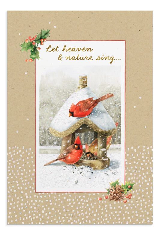 Premium Christmas Card Box - Nature Sings (18 cards) - The Christian Gift Company