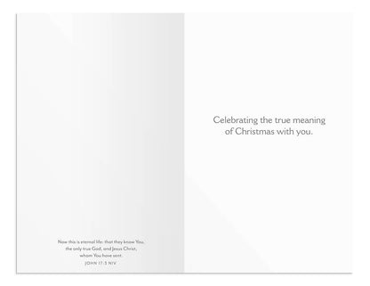 Christmas Cards - Only Jesus (50 cards)