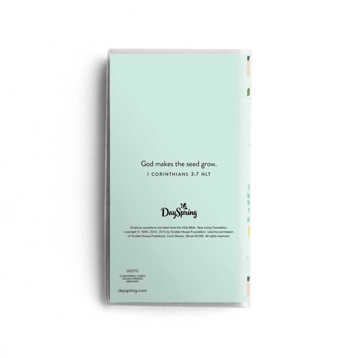 Succulent Love 28-Month 2024-25 Planner - The Christian Gift Company