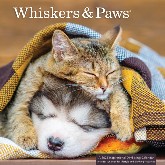 Whiskers & Paws 2026 Mini Inspirational Wall Calendar - The Christian Gift Company
