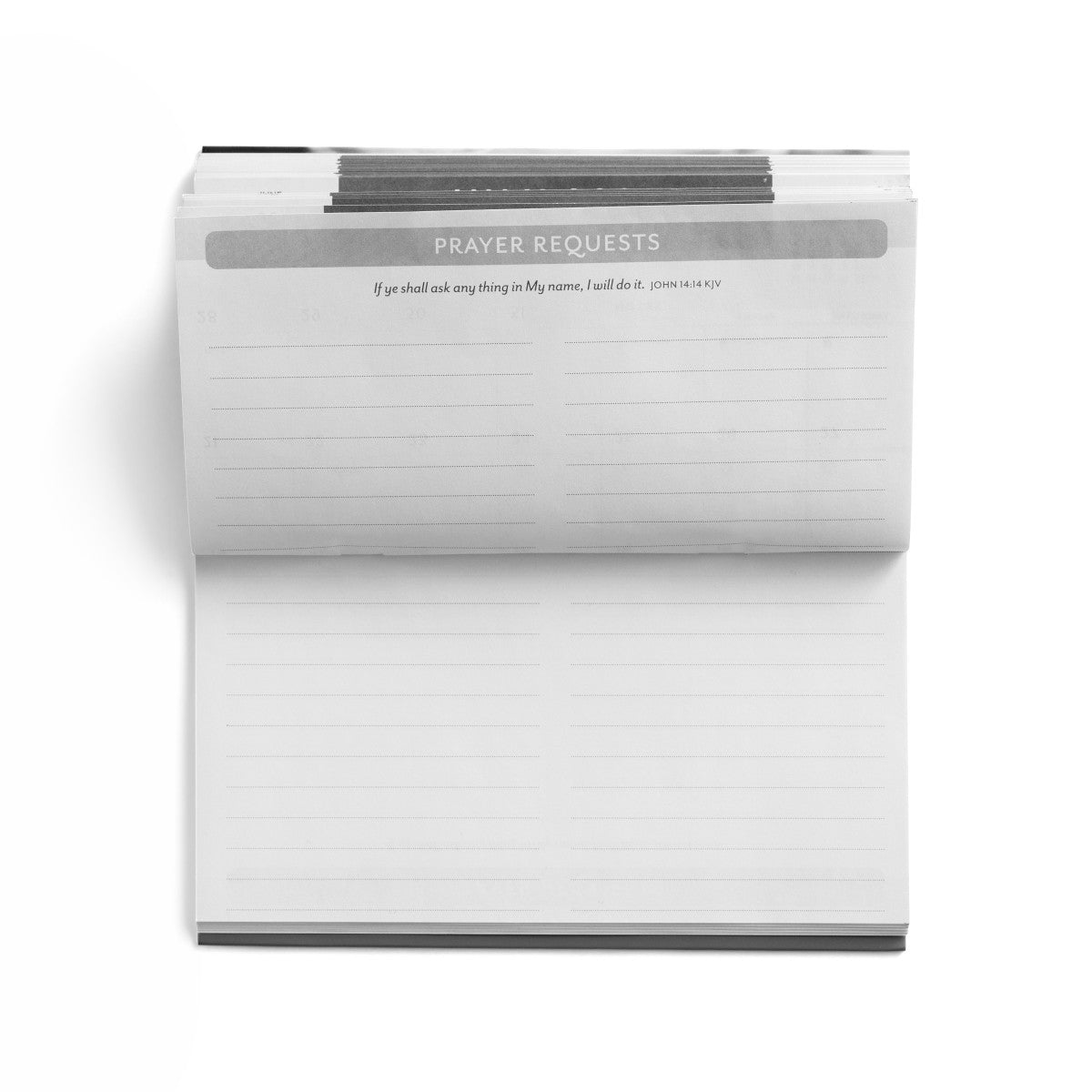 Stand Firm 2026-2027 Inspirational Pocket Planner