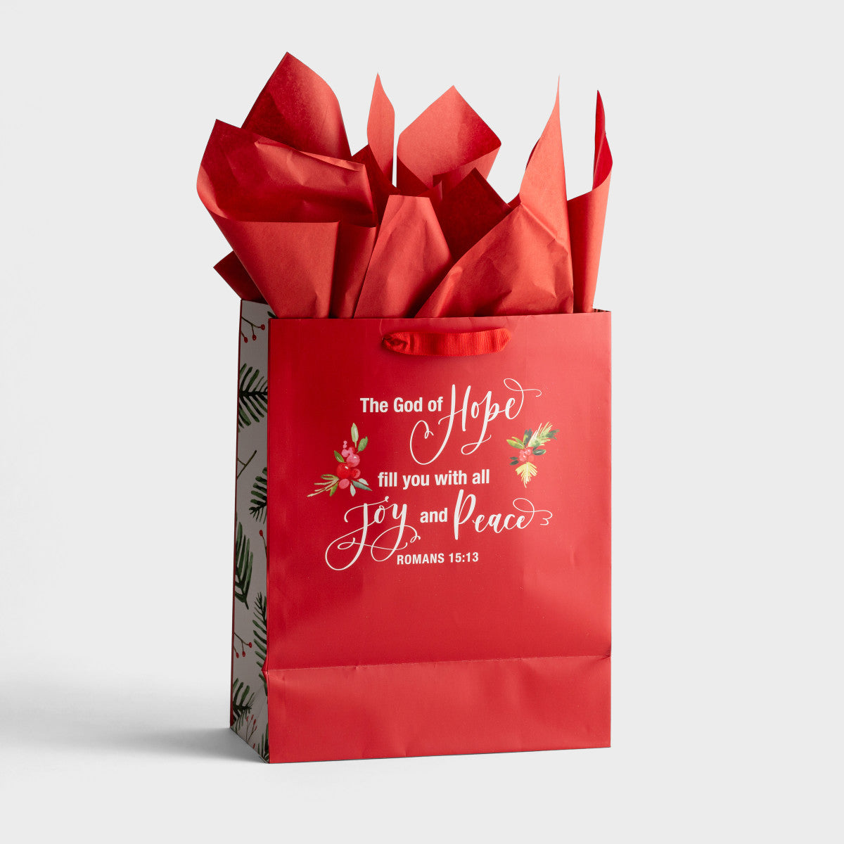 Hope - Large Christmas Gift Bag - The Christian Gift Company