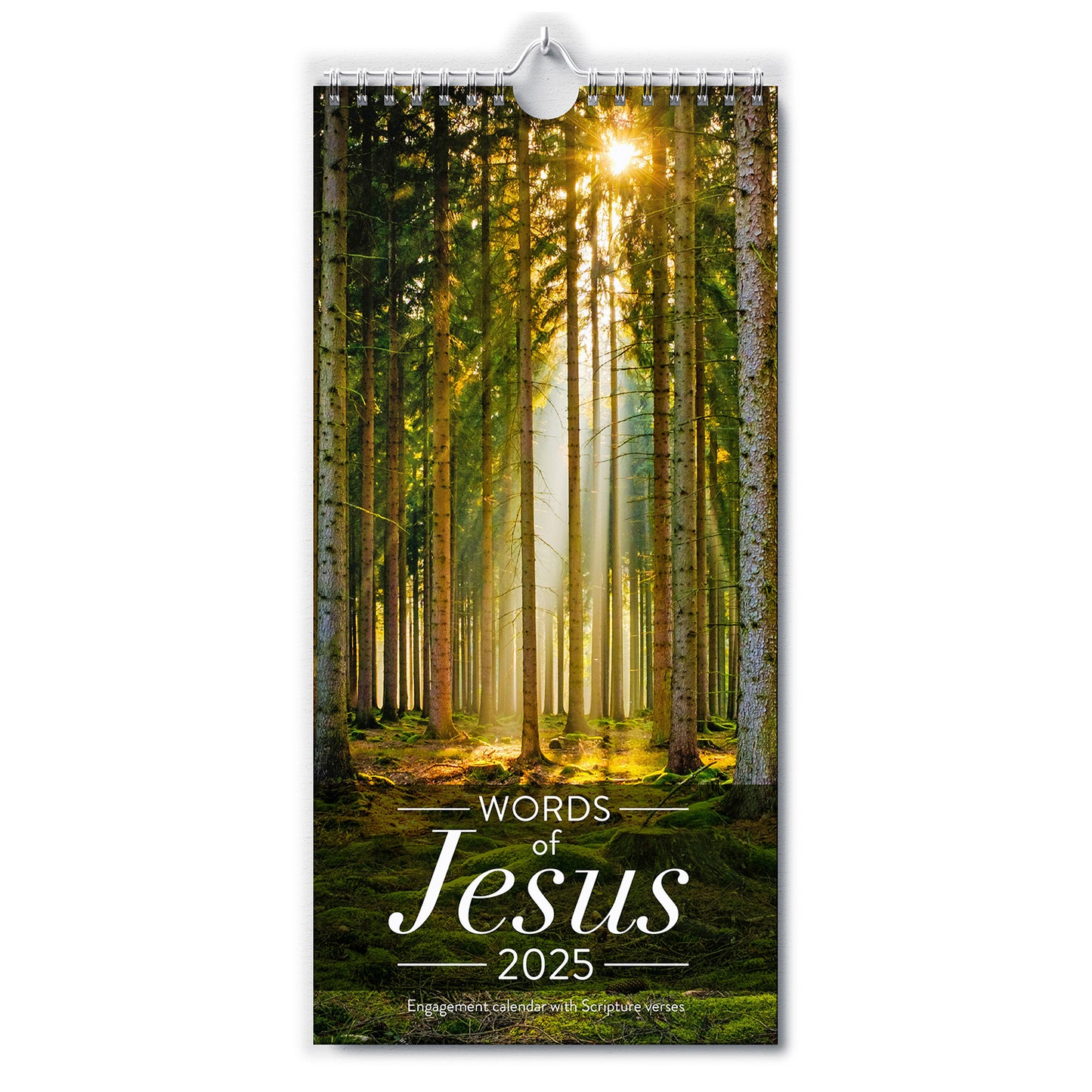 2025 Slim Wall Calendar: Words of Jesus