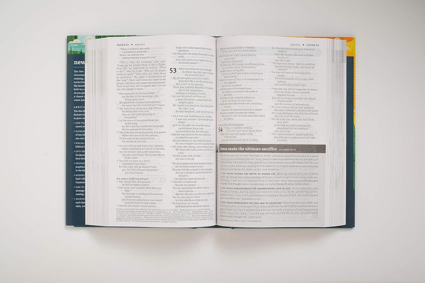 New Believer's Bible NLT (Hardcover): First Steps for New Christians - The Christian Gift Company