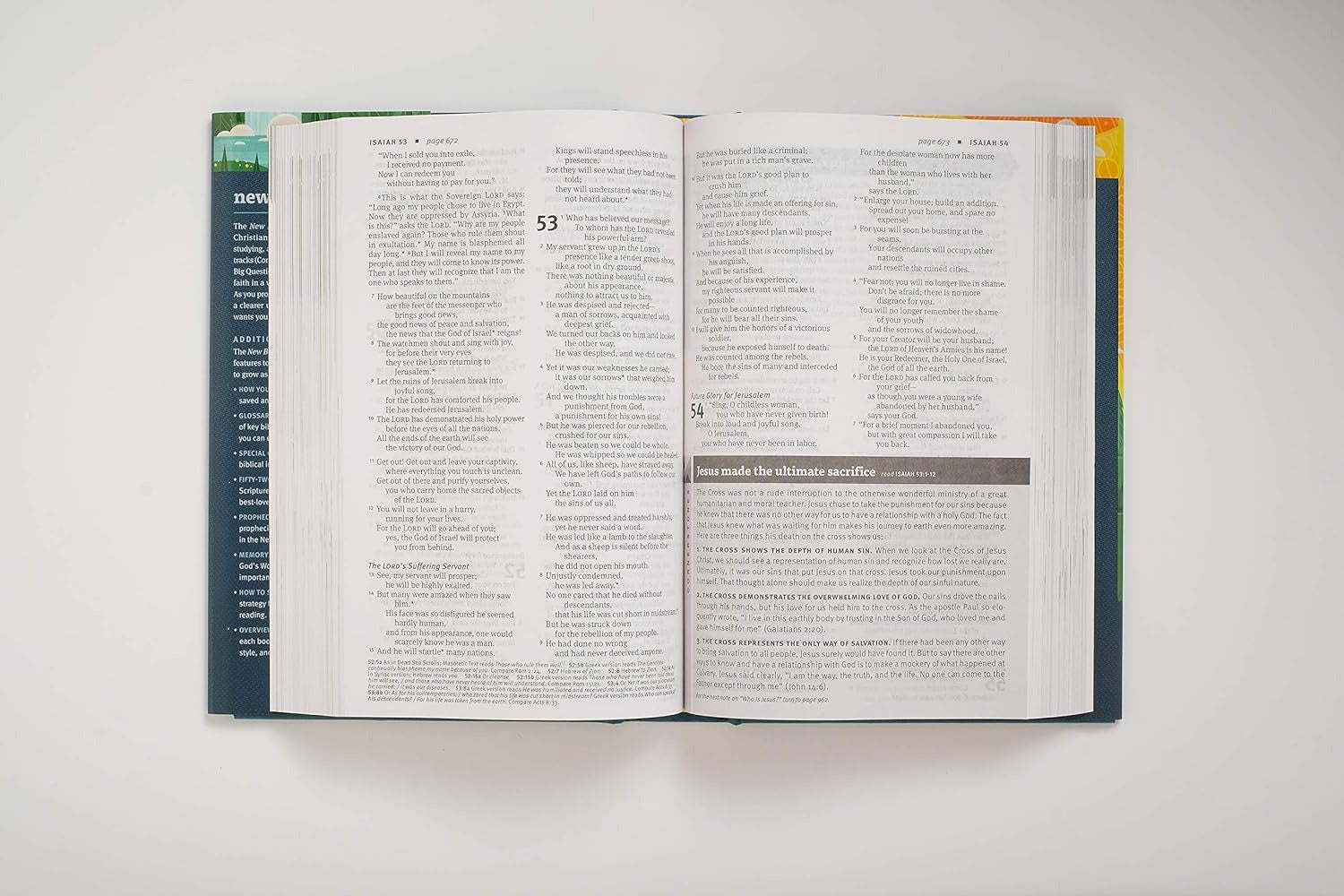 New Believer's Bible NLT (Hardcover): First Steps for New Christians - The Christian Gift Company