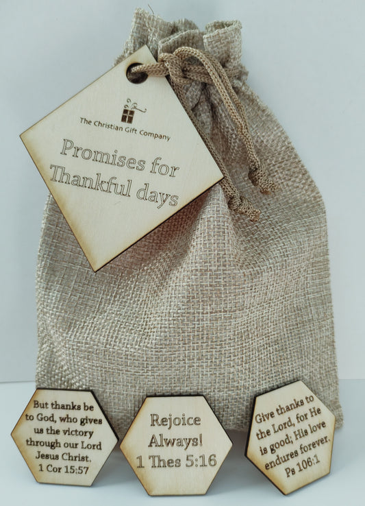 Promise bag - Thankful Days - The Christian Gift Company