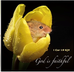 God is Faithful Card - The Christian Gift Company