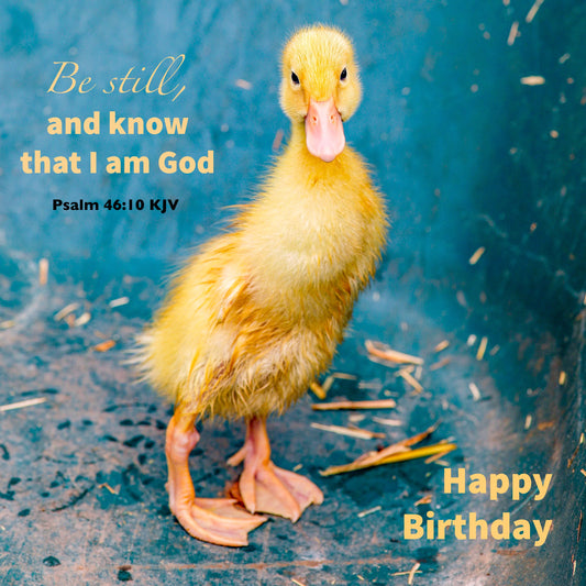 Be Still - Birthday Duckling Card - The Christian Gift Company