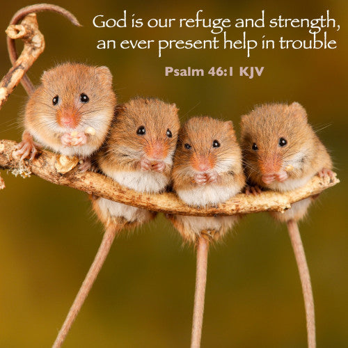 Refuge and Strength Card - The Christian Gift Company