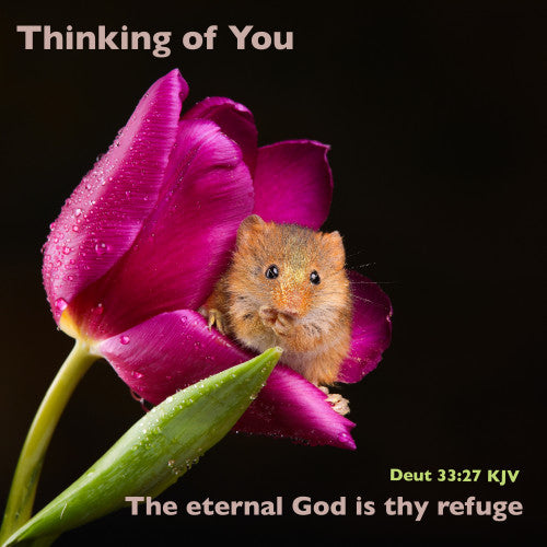 Eternal God Card - The Christian Gift Company