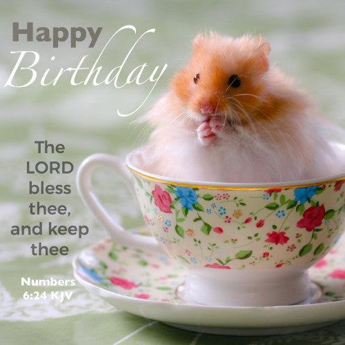Hamster in Cup Birthday Card - The Christian Gift Company