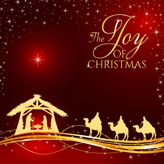 Christmas Joy Christmas Cards - The Christian Gift Company