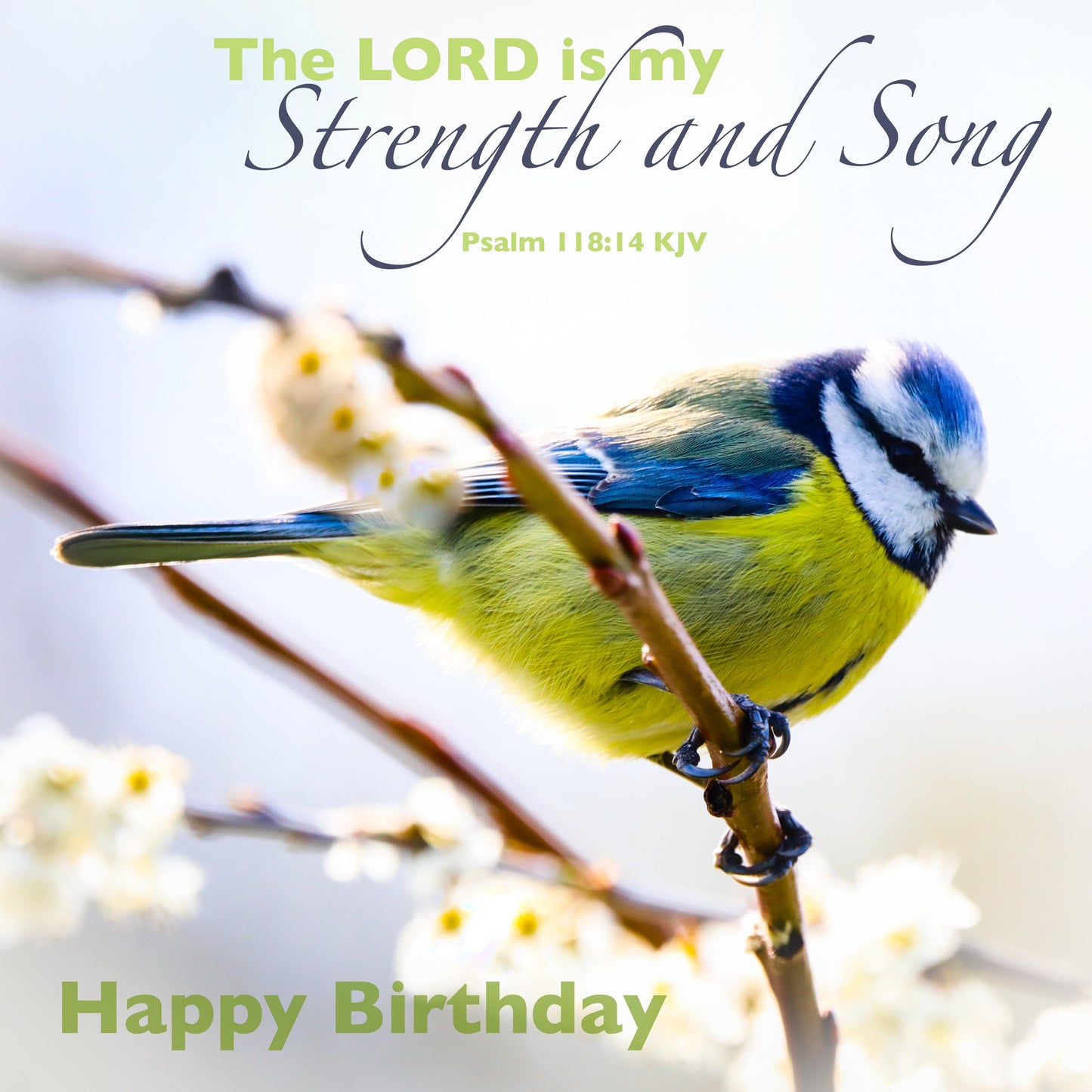 My Strength Birthday Card - The Christian Gift Company