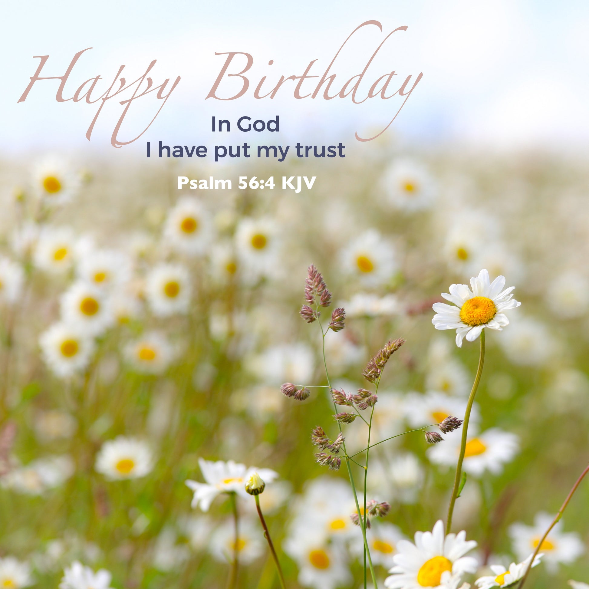 Daisy Field Birthday Card - The Christian Gift Company