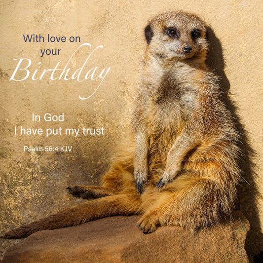 Meerkat Birthday Card - The Christian Gift Company