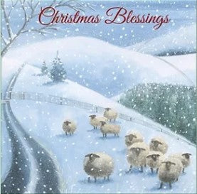 Christmas Sheep cards - The Christian Gift Company