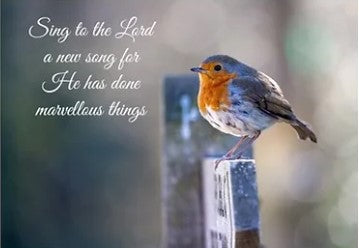 Sing to the Lord Christmas cards - The Christian Gift Company