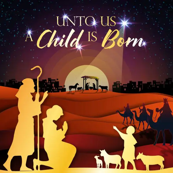 Jesus is Born Luxury Christian Christmas Cards - The Christian Gift Company