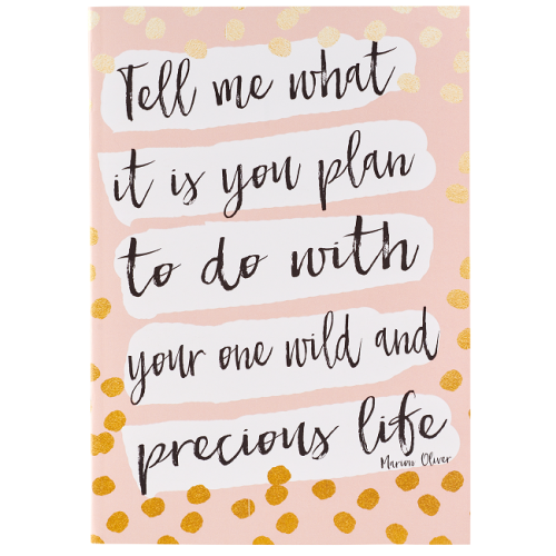 One Wild and Precious Life Notebook - The Christian Gift Company