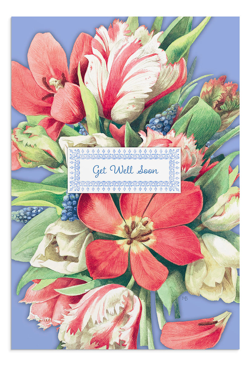 Nature's Blessing - Get Well - 12 Boxed Cards - The Christian Gift Company