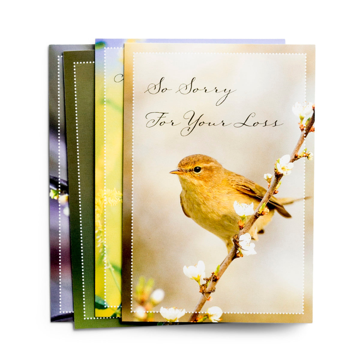 Sympathy - Comforting Thoughts  - 12 Boxed Cards, KJV - The Christian Gift Company