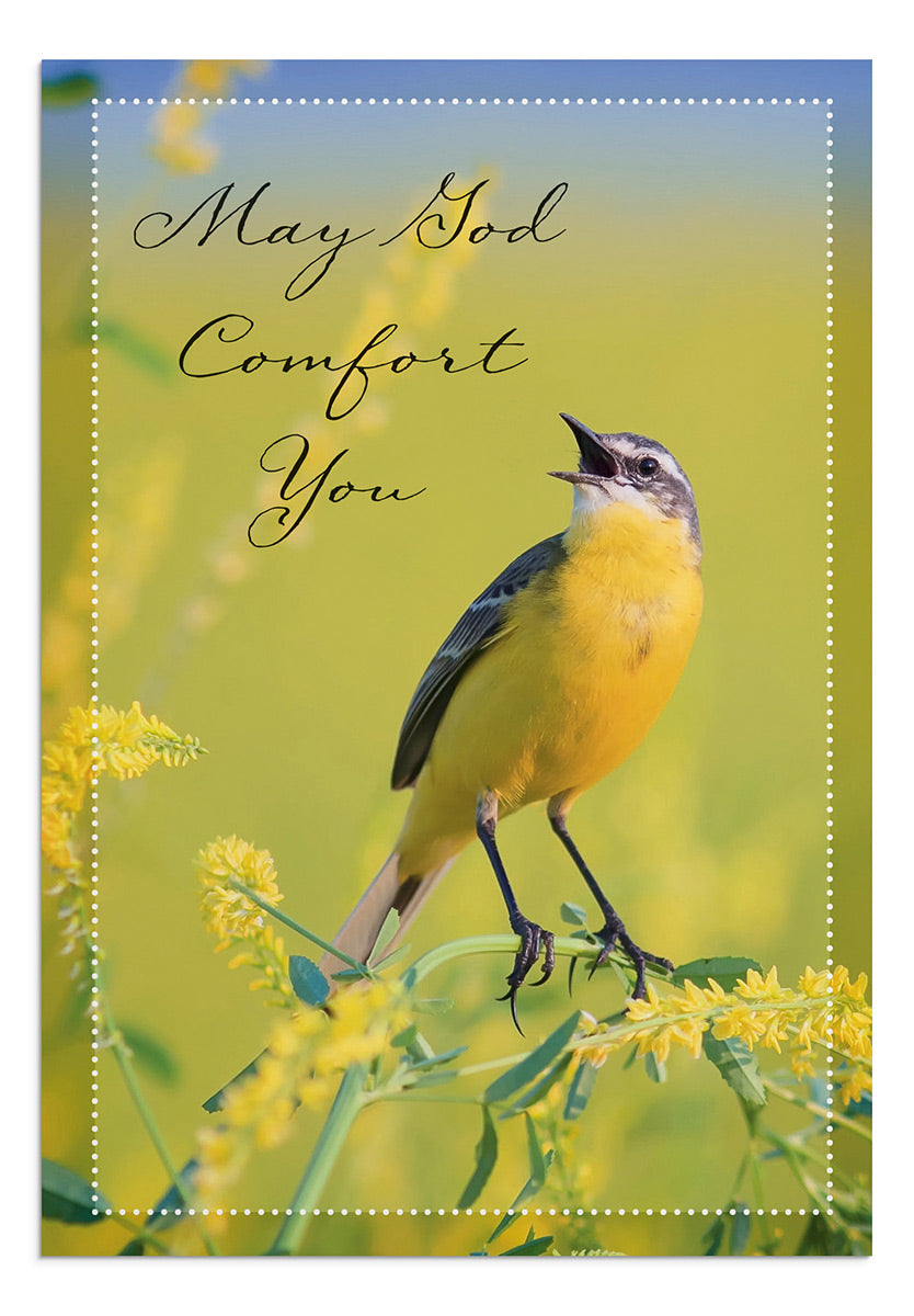 Sympathy - Comforting Thoughts  - 12 Boxed Cards, KJV - The Christian Gift Company