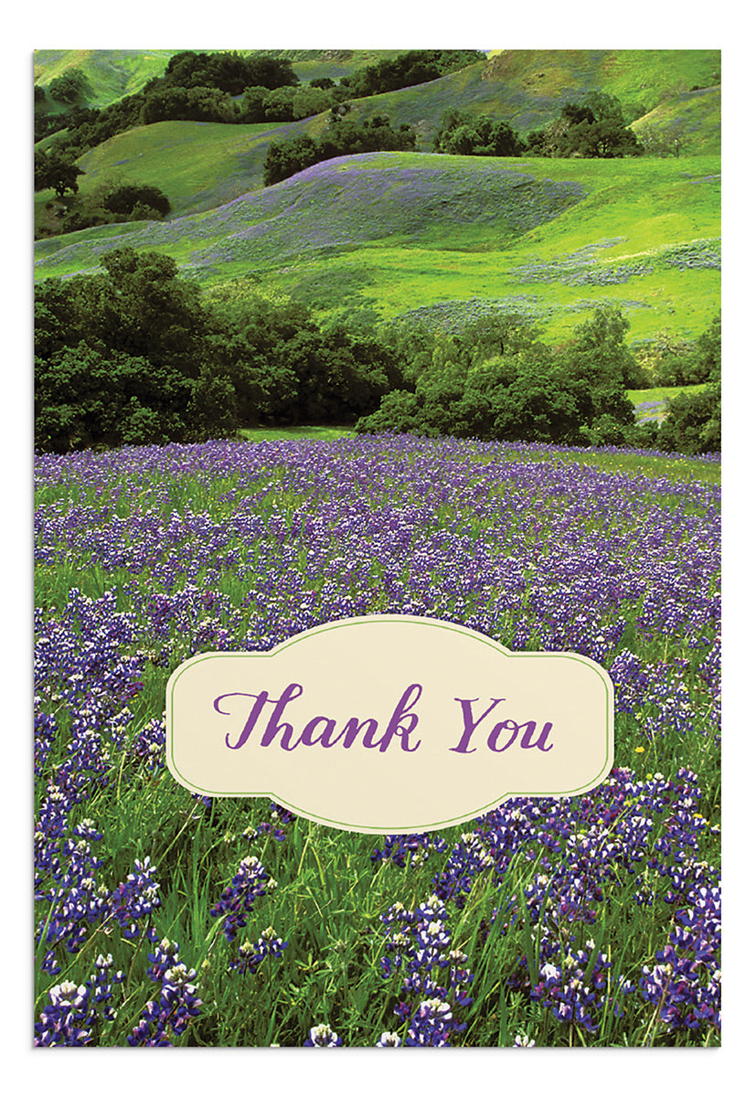 Thank You - Landscapes - 12 Boxed Cards, KJV - The Christian Gift Company