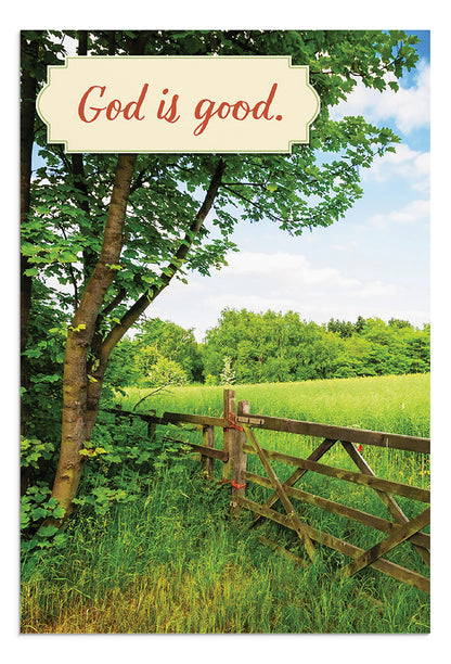 Thank You - Landscapes - 12 Boxed Cards, KJV - The Christian Gift Company